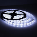 ORNATE SPECIAL | Strip Light 14.4W X 5M 12V