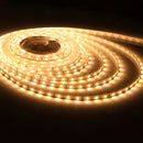 ORNATE |  Single Color Strip Light 4.8WX5M 12V
