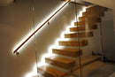 ORNATE SPECIAL | Strip Light 14.4W X 5M 12V