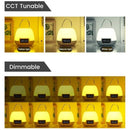 DREAM | Multifunction Portable Wireless Night Lamp