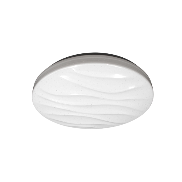 ERVIS | Round Ceiling Lamp 24W