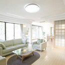 ERVIS | Round Ceiling Lamp 24W