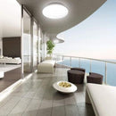 ERVIS | Round Ceiling Lamp 24W