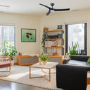 NSB | TEEGA Ceiling Fan 52"