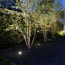 GATLIN B | Inground Buried Light