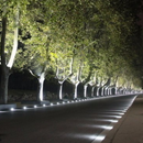 GATLIN | Raised Inground Light