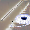 ORNATE |  Single Color Strip Light 4.8WX5M 12V
