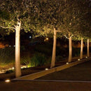 GATLIN | Clear Glass Ground Light