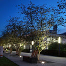 GATLIN | Clear Glass Ground Light