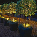 BENTLEE | Angle Adjustable Spike Light