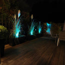 BENTLEE | RGB Color Spike Light