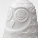 DREAM | Owl Bedside Lamp