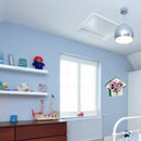 DREAM | Mickey Minnie Couple Wall Light