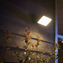 AURORA ENLITE |  Surfaced Flood Light